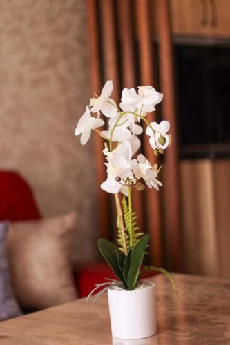 a white plant in a white vase on a table at La Marina Vivez l'expérience Mehdia à 100m de la plage in Kenitra