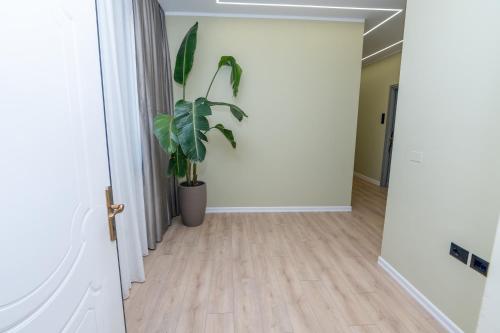 Fotografie z fotogalerie ubytování Villa Arantia v destinaci Vlorë