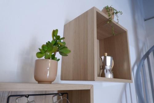 a wooden shelf with a plant and a vase on it at La Casina Massa in Massa