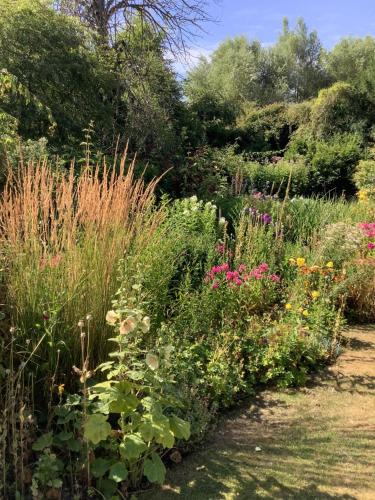 a garden with many different types of flowers at The Mill House in Berwick Saint James