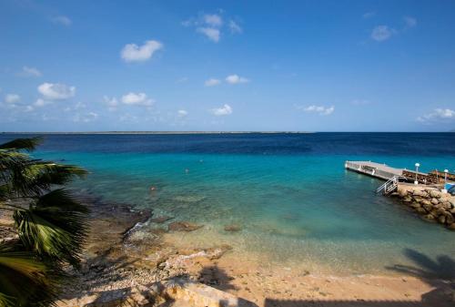 Φυσικό τοπίο κοντά σε αυτό το διαμέρισμα