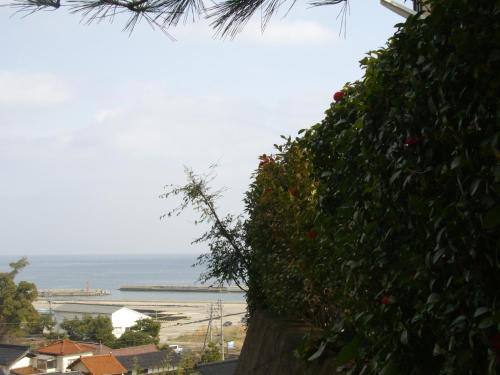 a view of the ocean from a tree at 旅館青柳 海越し立山連峰の雪山絶景で休もう in Himi