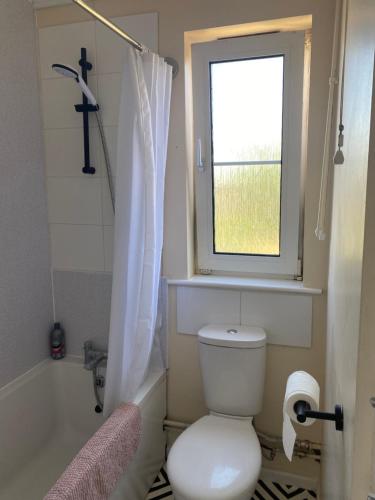 ニューマーケットにあるCharlies House Newmarket - 3 bedroomのバスルーム(トイレ、窓、バスタブ付)