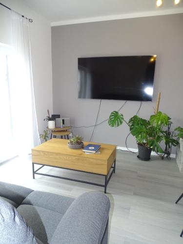 Μια τηλεόραση ή/και κέντρο ψυχαγωγίας στο Private Room in Family Home with Pool
