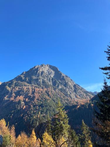 a mountain in the distance with trees in the foreground at Ögghof 222 in Kaunertal