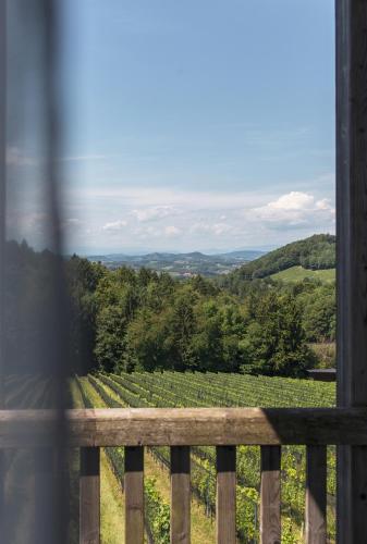 a view of a vineyard from a wooden railing at Casa Firmenich in Eckberg