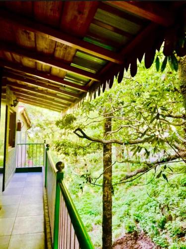 a balcony with a tree on the side of a house at The Boho Woods Resort in Nainital