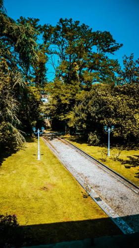an empty road with trees on the side of the road at Villa Trigatti Michieli 