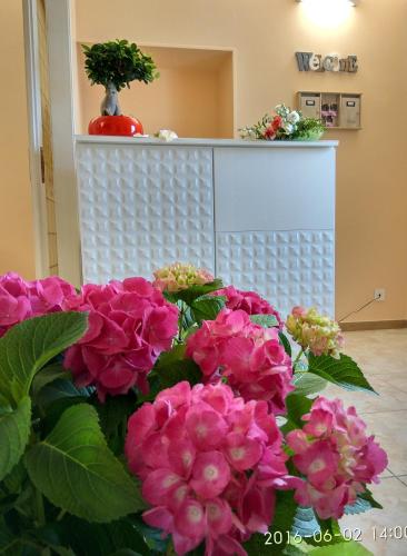 a bunch of pink flowers in a room at Le Camelie in Ginosa Marina