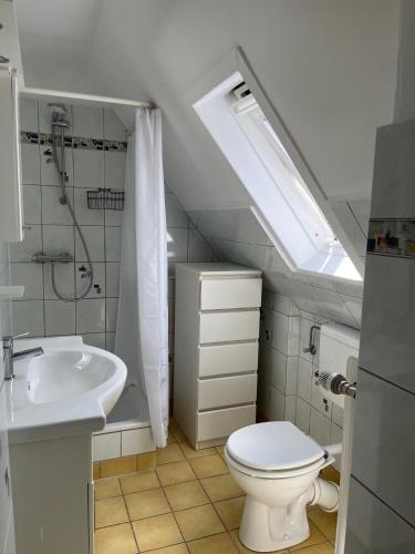 a bathroom with a toilet and a sink and a skylight at Haus Kroneck-Salis Ferienwohnung in Bad Iburg