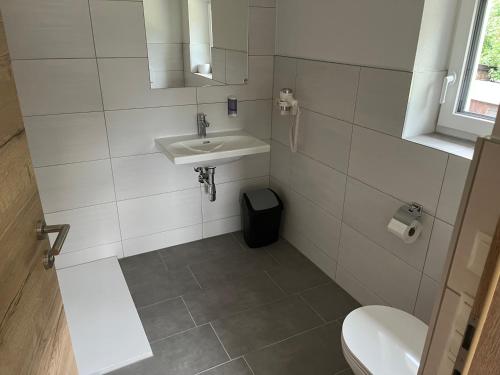 a bathroom with a sink and a toilet at Landhaus im Feld in Sankt Michael im Lungau