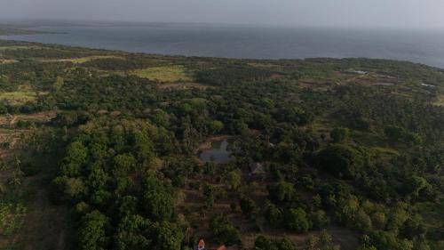 an aerial view of a forest and a lake at The Coconut Experience Eco Lodge Wilpattu 