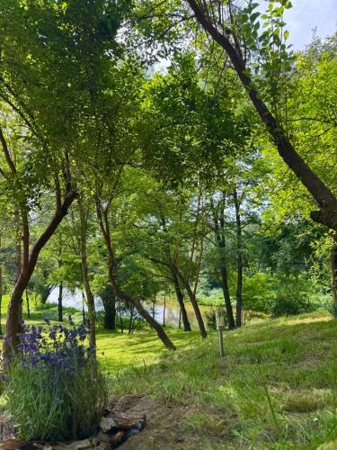a park with trees and flowers in the grass at Sanovia Glamping in Reczpol