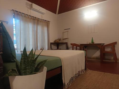 Una cama o camas en una habitación de Clifftop