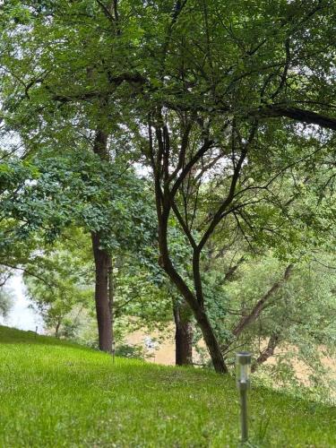 a park with trees and grass with a street light at Sanovia Glamping in Reczpol
