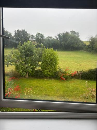 a view of a field from a window at Canaima House in Ladysbridge