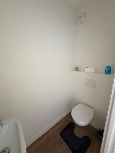 un bagno con un water bianco e un lavandino di Appartement Cosy et parking a Vannes