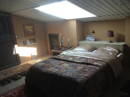 a bedroom with a large bed with a skylight at L'hacienda in Champagné-les-Marais
