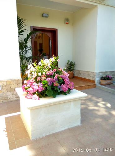 a planter filled with flowers in a building at Le Camelie in Ginosa Marina