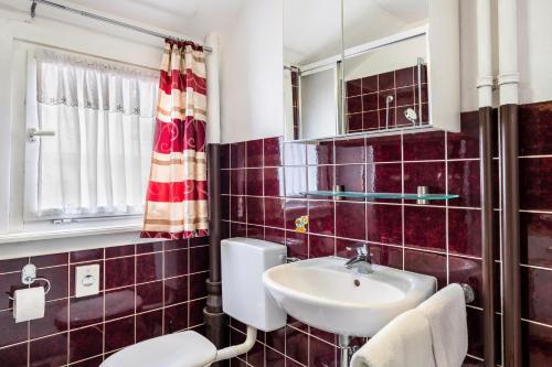 a bathroom with a toilet and a sink at Haus Marianne Duffner in Schonach