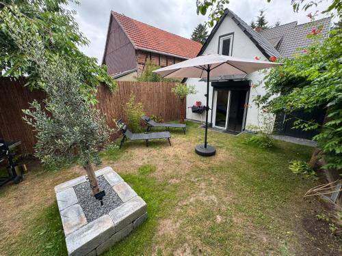 Taman di luar Tiny House am See Dillich - Hunde willkommen - Eigener eingezäunter Garten - Ruhige Lage - Klima