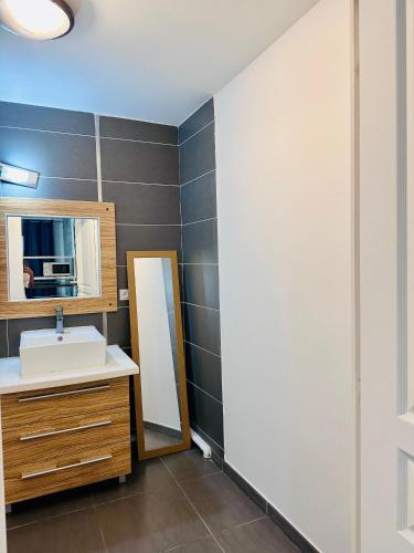 a bathroom with a sink and a mirror at Appartement Cosyy in Saint-Denis