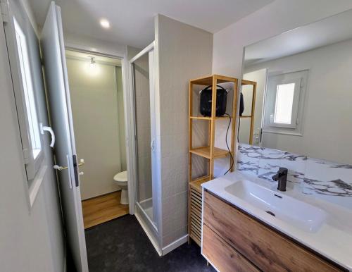 a bathroom with a sink and a toilet at L'Antre du Pin in Lourdes