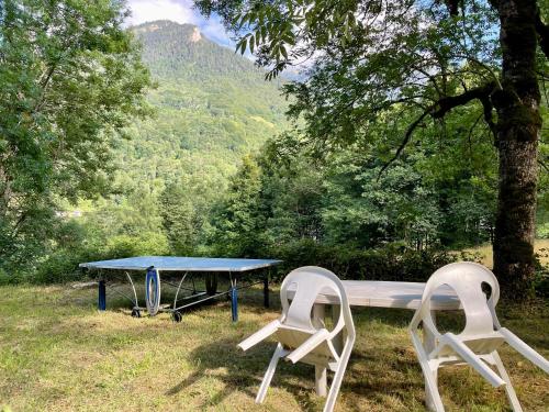 Appartement T5 avec espace vert