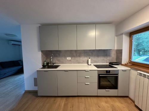 Φωτογραφία από το άλμπουμ του Pinus Alpinus Apartments σε Bovec