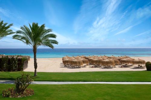 a group of animals standing on the beach at JAZ Almaza BLU, Almaza Bay in Marsa Matruh