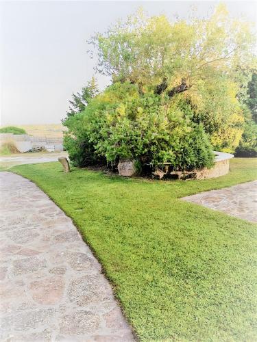 a stone path in a park with a tree at Casa Pito Pito in Alghero