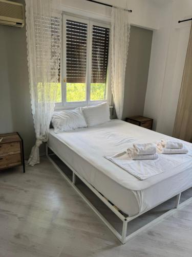 Athens Metaxourgio House