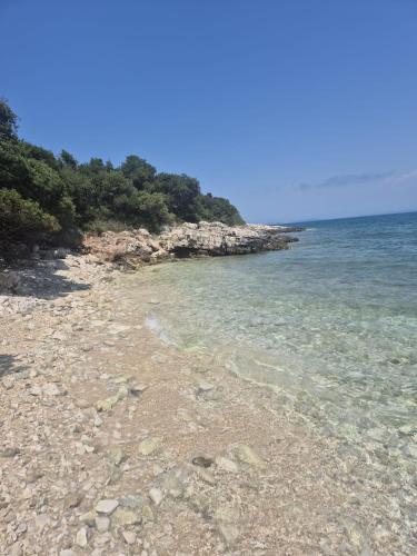 a rocky beach with trees and the water at A casa di Alice in Orikum