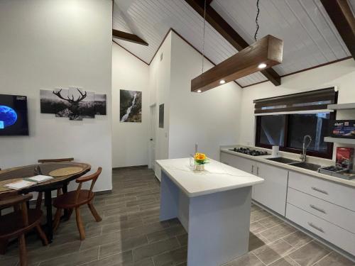 Kuchyň nebo kuchyňský kout v ubytování Apino Lodge del Celaque