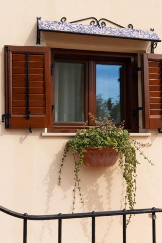 a window with a potted plant on a wall at Hotel Foresteria Baglio Della Luna in San Leone