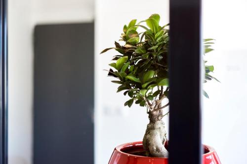 COCON - PartDieu l Parking l Climatisation by Dreamy Flat Lyon photo 30