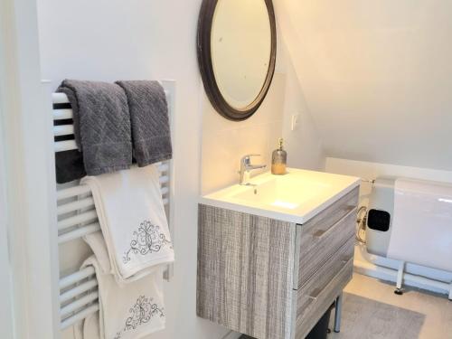 une salle de bain avec un lavabo et un miroir dans l'établissement VILLA-AUDEMER - 