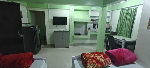 a living room with a couch and a tv in it at Harry's Bed and Breakfast1 in Shillong