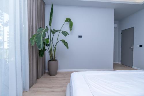 Fotografie z fotogalerie ubytování Villa Arantia v destinaci Vlorë