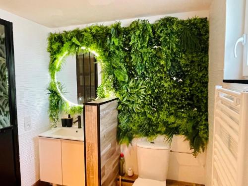 a bathroom with a green wall next to a toilet at Duplex Cosy - Escapade Romantique in Wiwersheim