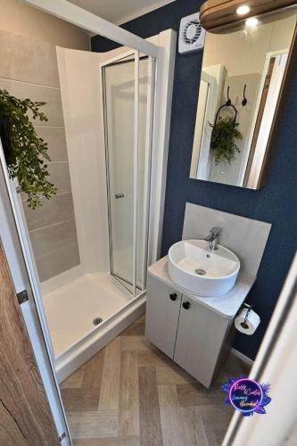 a bathroom with a shower and a white sink at Big Duffs Den in Tattershall
