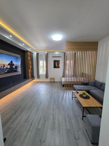 a living room with a couch and a tv at EXCLUSIVE Plus in Vršac