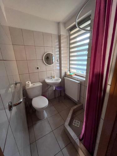 a bathroom with a toilet and a sink at Willa Kryształ in Stegna