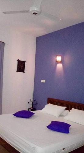 a bedroom with a blue wall and a bed with two pillows at Wildlight Yala in Yala