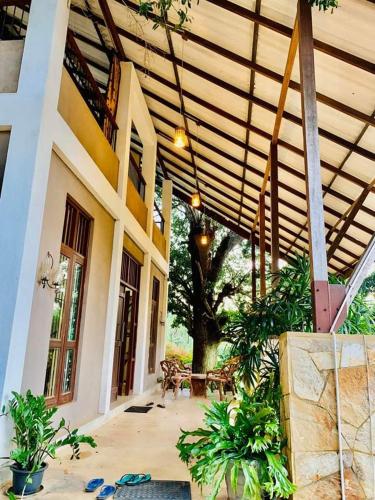 a porch of a house with plants and a wooden ceiling at Wildlight Yala in Yala