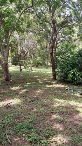 a park with trees and a field of grass at Wildlight Yala in Yala