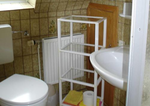 a small bathroom with a toilet and a sink at Bruhn's Ferienwohnung Seehund in Maasholm