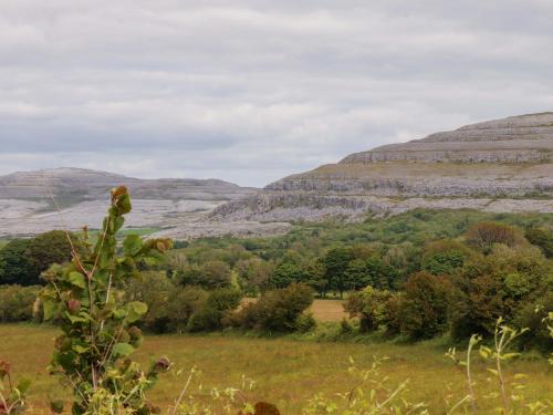 a view of the hills from the farm at Ash House in Ballyvaughan