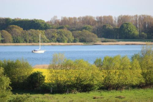 a boat in the middle of a large lake at Bruhn's Ferienwohnung Seehund in Maasholm