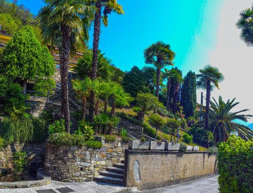 un escalier avec des palmiers et un mur en pierre dans l'établissement Vista Maccagno, à Maccagno Inferiore